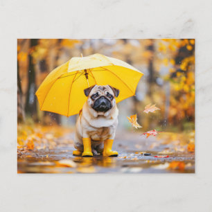 Pug with Umbrella and Boots in Rain Postcard