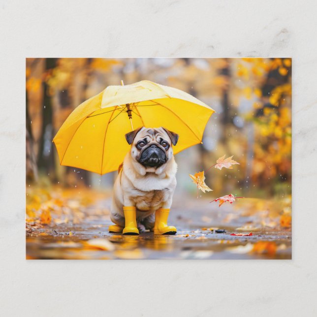 Pug with Umbrella and Boots in Rain Postcard (Front)