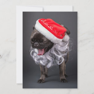 Pug Yawning in a Santa Hat and Beard Holiday Card