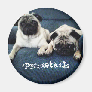 #puggietails magnet