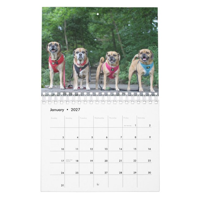 PUGGLE 2020 CALENDAR (Jan 2027)