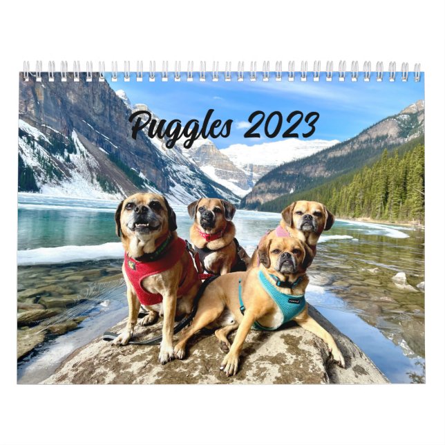 Puggle 2023 Calendar (Cover)