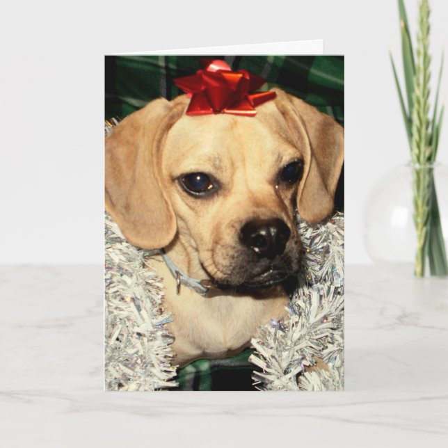 Puggle! Christmas Card (Front)