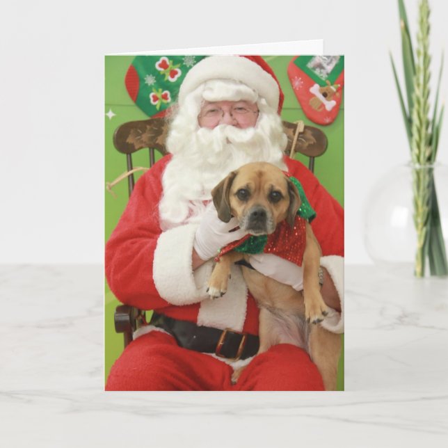 Puggle! Christmas Card (Front)