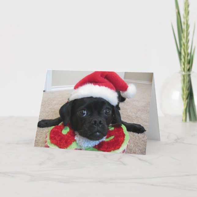 Puggle! Christmas Card (Front)