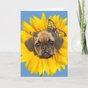 Puggle Face In A Daisy Cards