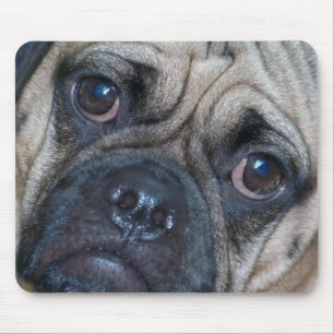 puggle face mouse mat