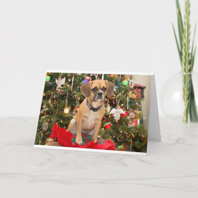 Puggle Holiday Card (Front)