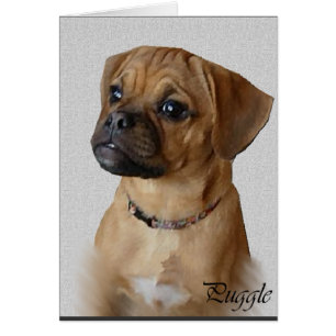 Puggle Lovers Gifts