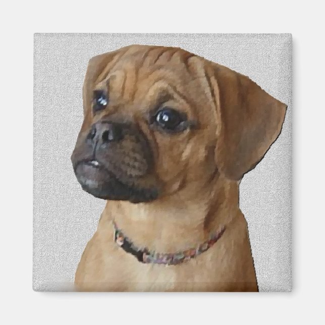 Puggle Lovers Gifts Magnet (Front)