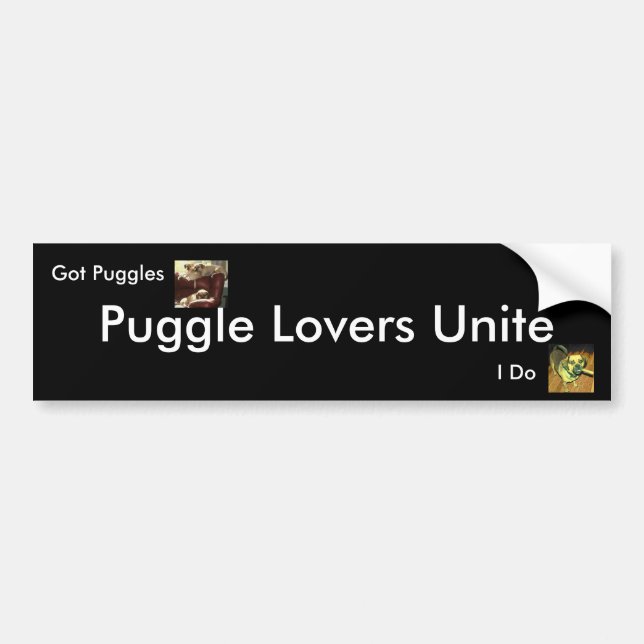 Puggle Lovers Unite, Bumper Sticker (Front)