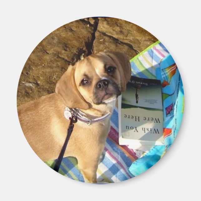 Puggle Magnet (Front)