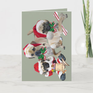 Puggle Merry Christmas Cards
