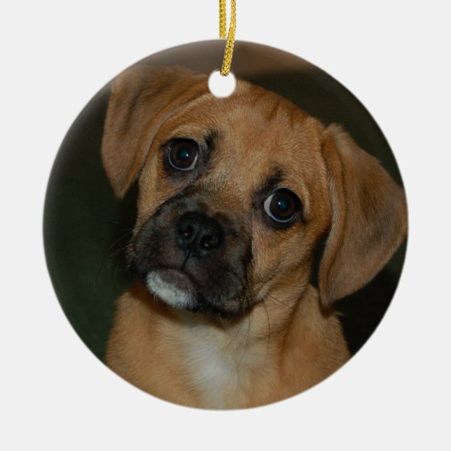 Puggle ornament 2 (Front)