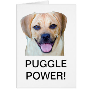 Puggle Power!