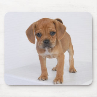 Puggle Puppy Pad Mouse Mat