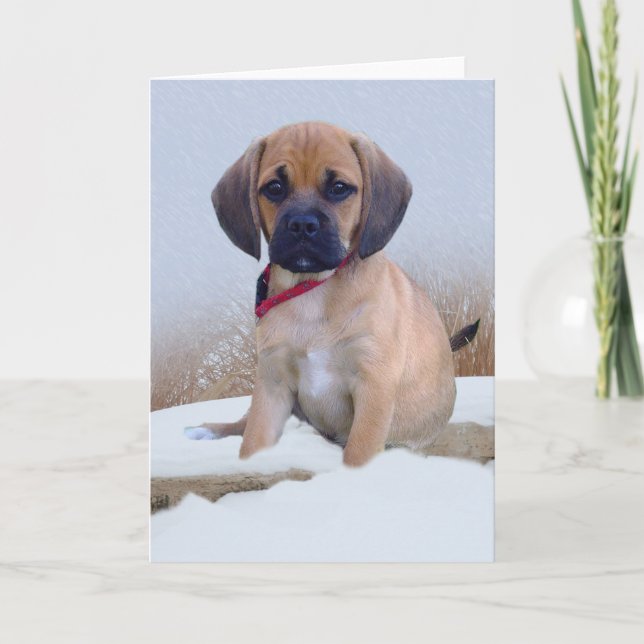 Puggle snow scene card (Front)
