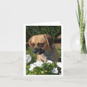 Puggles Card