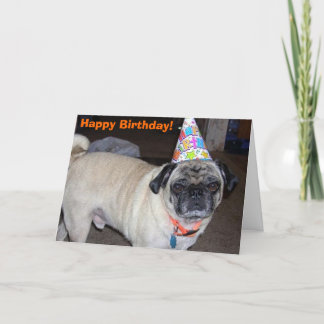 Puggy Greetings: Birthday Card