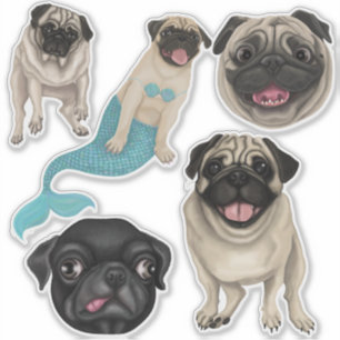Pugs