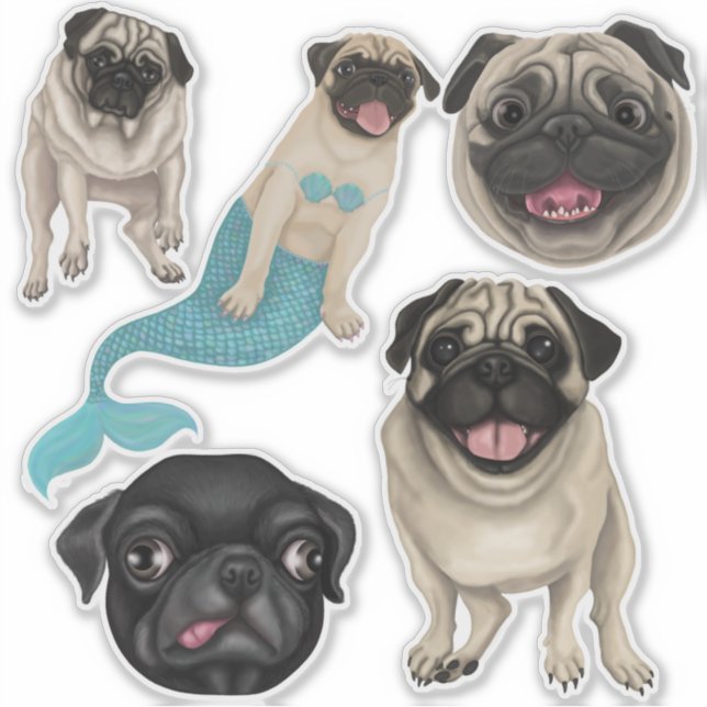 Pugs (Front)