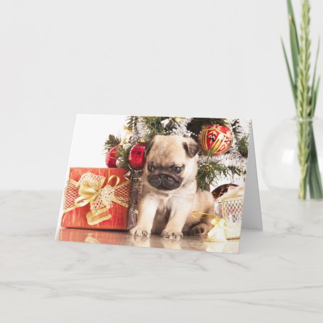 Pugs and Christmas gifts Holiday Card (Front)