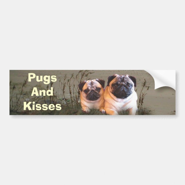Pugs and Kisses Bumper Sticker (Front)