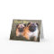 Pugs and Kisses Thank You Card
