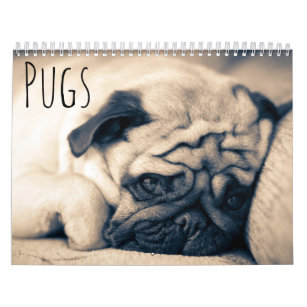 gifts for pug lovers uk