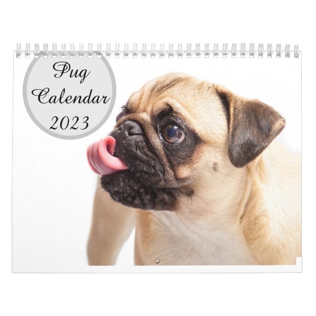 Pugs Calendar 2023 (Cover)