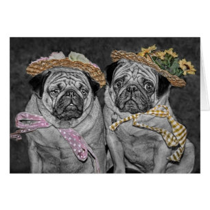 Pugs in Bonnets