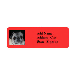 Pugs & Kisses Label