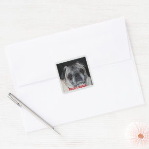 Pugs & Kisses Sticker