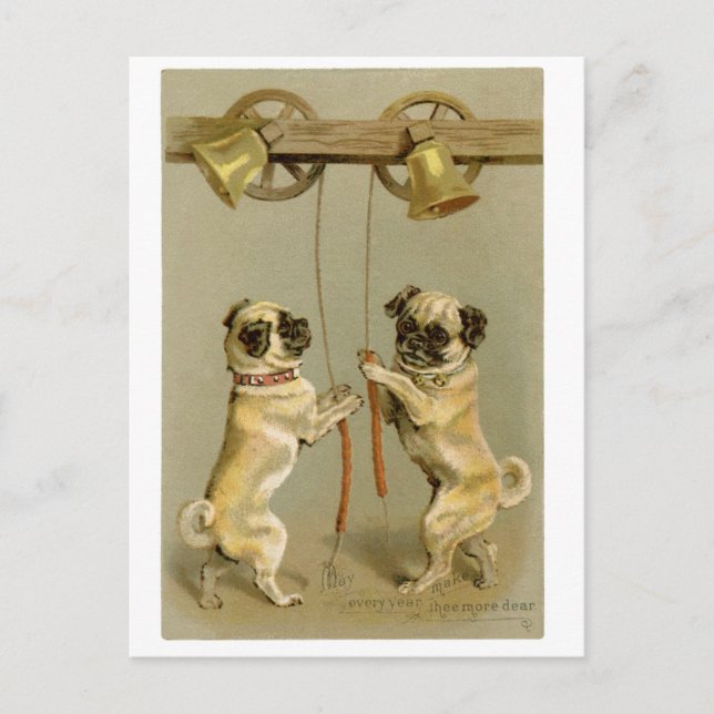 Pugs New Year/Christmas Postcard (Front)