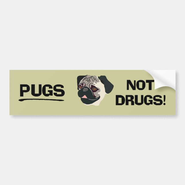 Pugs Not Drugs Bumper Sticker (Front)