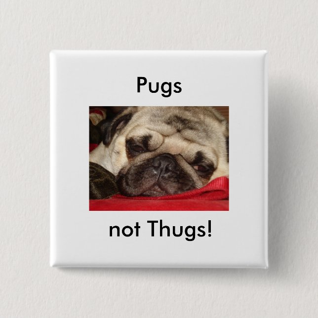 Pugs not Thugs! pin (Front)