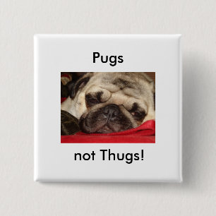 Pugs not Thugs! pin