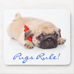 Pugs Rule Puppy Mousepad