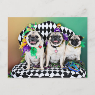Pugsgiving Mardi Gras 2015 - Hambone Coco Olivia - Postcard
