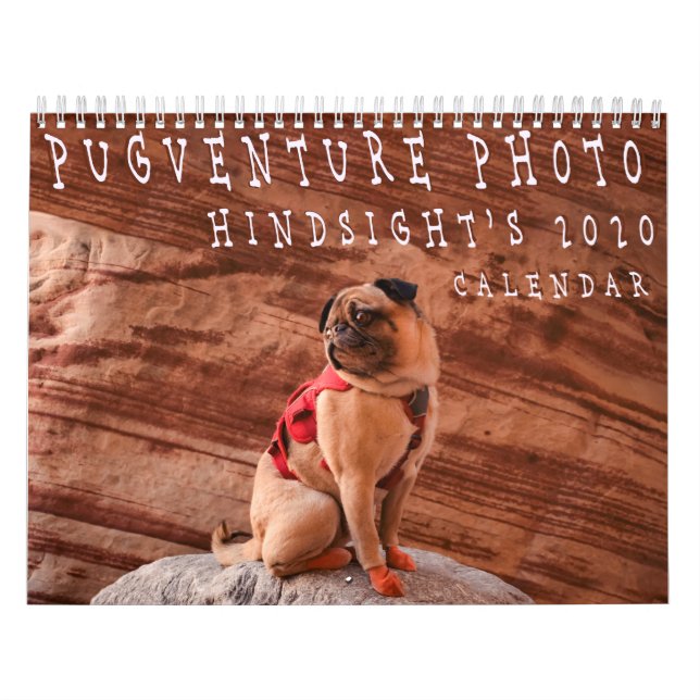 Pugventure Photo Hindsight's 2020 Calendar (Mediu) (Cover)