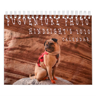 Pugventure Photo Hindsight's 2020 Calendar (Small)