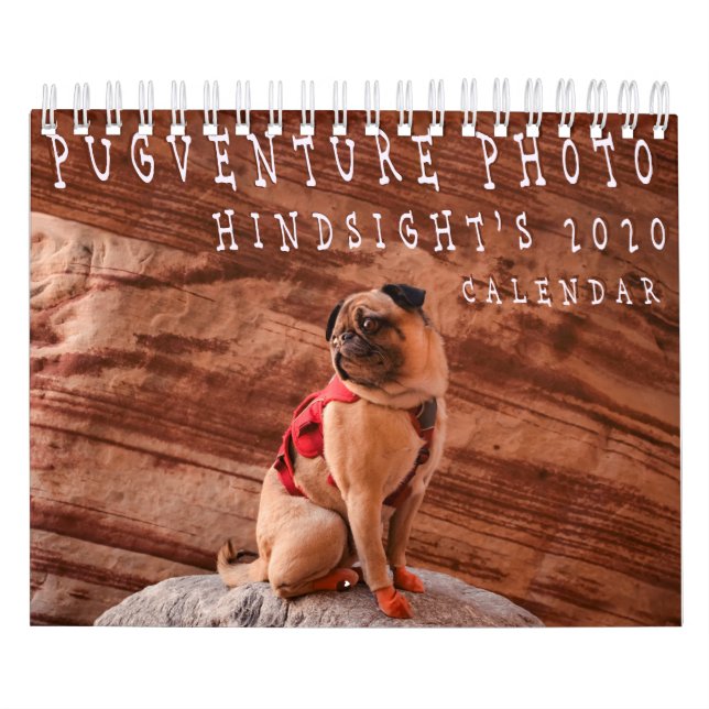Pugventure Photo Hindsight's 2020 Calendar (Small) (Cover)