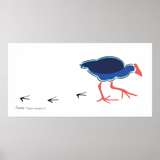 Pukeko Steps Poster/Print Poster (Front)