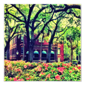 Pulaski Square, Savannah Photo Print