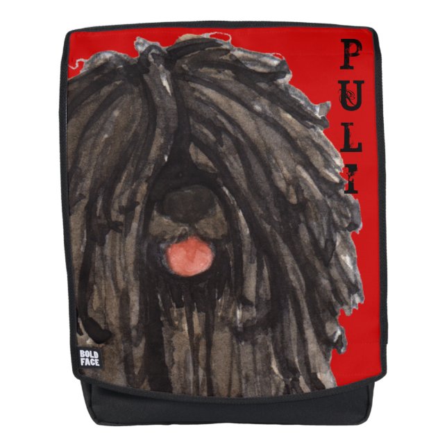 Puli Colour Block Backpack (Front)