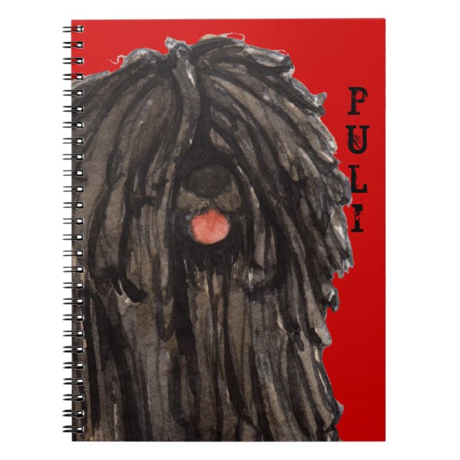 Puli Colour Block Notebook (Front)