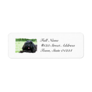 Puli Dog Mailing Labels