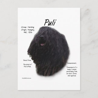 Puli History Design Postcard