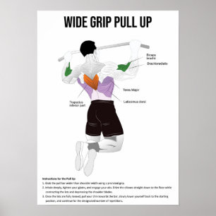 Pull-Up - Exercise - Muscle Anatomy Chart