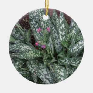 Pulmonaria - Lungwort perennial Ceramic Tree Decoration